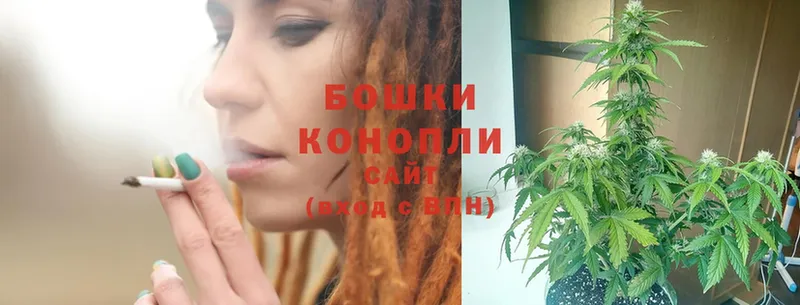 Каннабис Ganja  Белоозёрский 